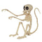SEASONS HK USA INC Halloween Monkey Skeleton 7.5 In. 190842829225