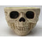 SEASONS HK USA INC Halloween Skull Candy Bowl, 9.5 in 190842819516
