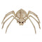 SEASONS HK USA INC Halloween Spider Skeleton 190842812463