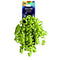 Buy Gift Wrap & Bags Curly Bows - Lime sold at Party Expert