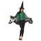 Buy Costume Accessories Enchanted web poncho for adults sold at Party Expert