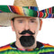Buy Costume Accessories Fiesta facial hair set sold at Party Expert