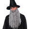 Buy Costume Accessories Grey plush beard & mustache set sold at Party Expert