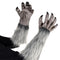 Buy Costume Accessories Werewolf gloves for adults sold at Party Expert