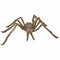 Buy Halloween Light brown furry spider sold at Party Expert