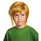 Buy Costume Accessories Link wig for boys, Legend of Zelda sold at Party Expert