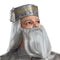 Buy Costumes Albus Dumbledore Deluxe Costume for Adults, Harry Potter sold at Party Expert