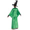 TOY-SPORT Costumes Harry Potter Professor McGonagall Deluxe Costume for Adults