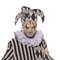 Buy Costume Accessories White & black clown collar sold at Party Expert