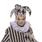 Buy Costume Accessories White & black clown collar sold at Party Expert