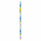Buy Kids Birthday Blue's Clues & You Gift Wrap Roll sold at Party Expert