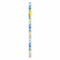Buy Kids Birthday Blue's Clues & You Gift Wrap Roll sold at Party Expert