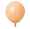 WIDE OCEAN INTERNATIONAL TRADE BEIJING CO., LTD Balloons Blush Nude Latex Balloon 12 inches, 15 Count 810077652688