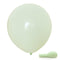 Buy Balloons Green Latex Balloon 12 Inches, Macaroon Collection, 15 Count sold at Party Expert