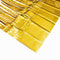 Buy Decorations Gold, Matte Collection, Foil Fringe Curtain, 2 Count sold at Party Expert