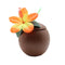 Buy Theme Party Coconut Cup with Straw, 19 Ounces sold at Party Expert