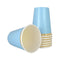YIWU SANDY PAPER PRODUCTS CO., LTD Everyday Entertaining Cups Light Blue, 9 Oz, 8 Count